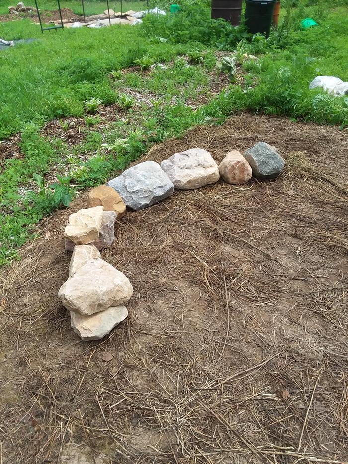 rocks piled up in a sunscoop shape to create snake habitat