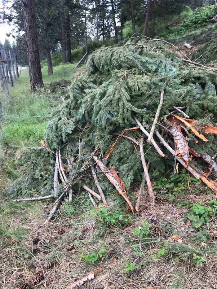brush pile critter hotel