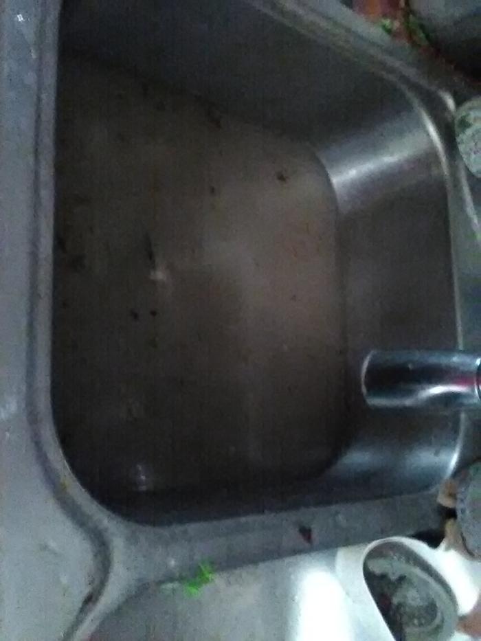 I had some pans that we had left out for the dogs a little too long. Sorry about the very grimy water!