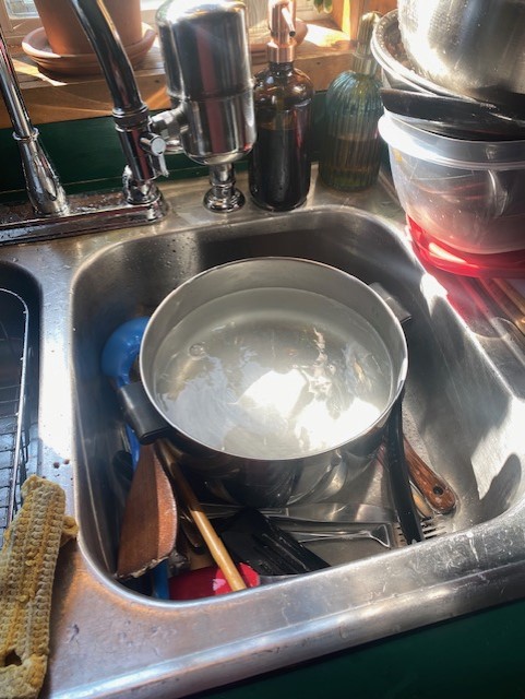 Dish/Cleaning Vessel