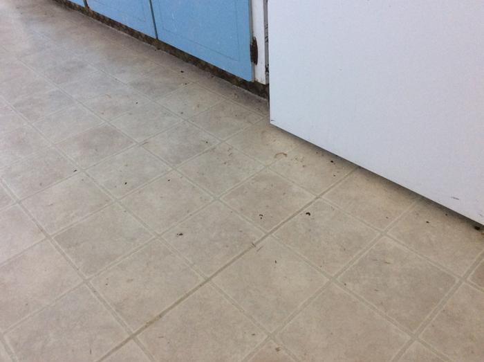 Floor before