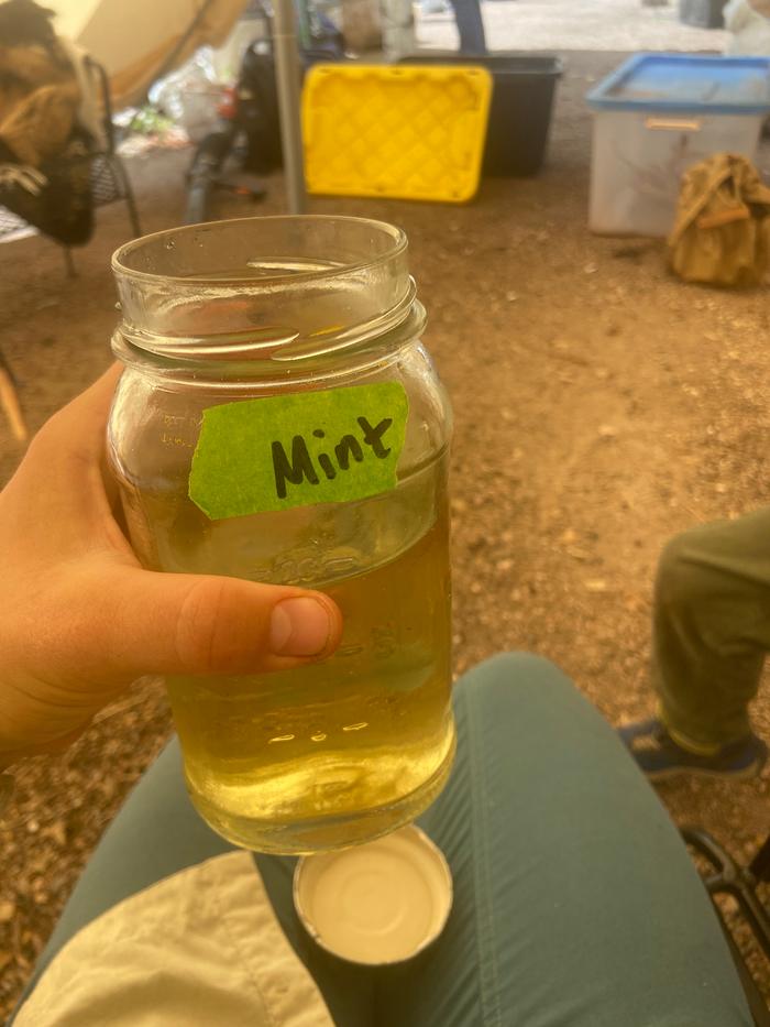 yummy mint tea in a jar