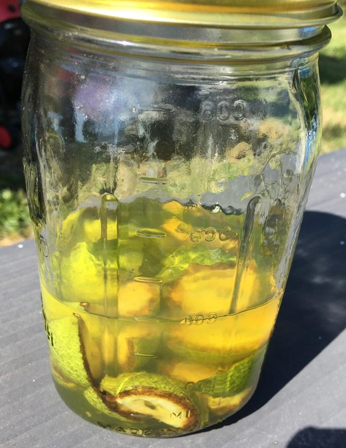 Quartered nuts soaking in alcohol