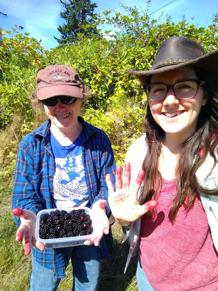 Taking a break from packing to pick blackberries from the northern boundary of our new property