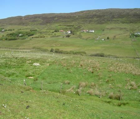 planting trees on Skye