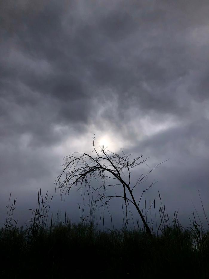 Spooky sky this cloudy morning 