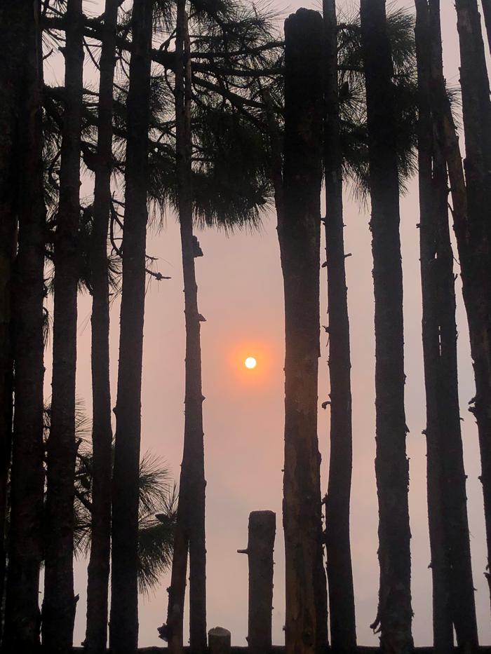 Sunrise in the misty sky