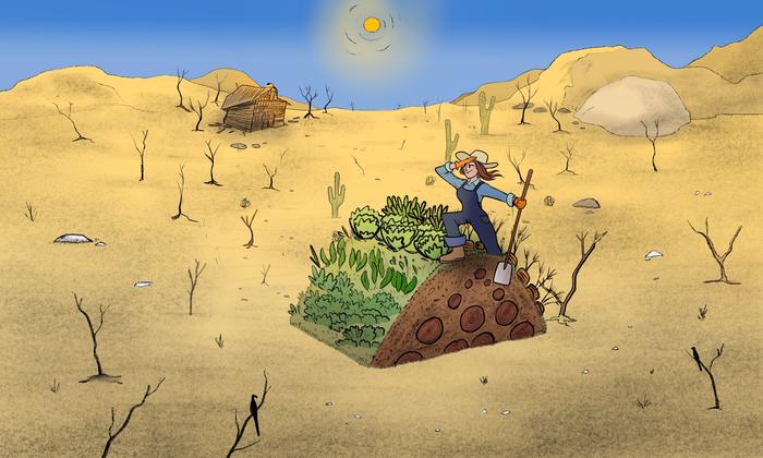 Skipper Hero Hugelkultur in the desert