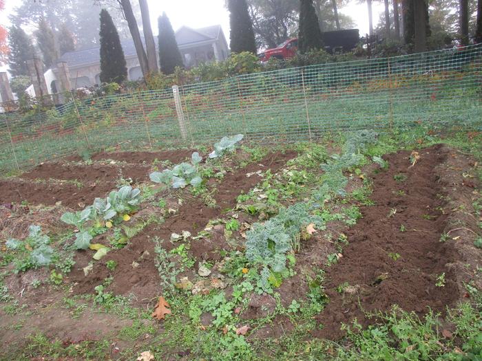 growies