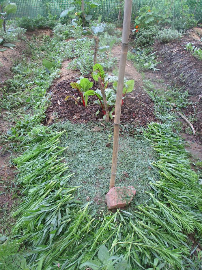 Leaves-protecting-the-border-of-the-bed