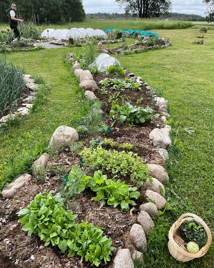 rock lined garden bed