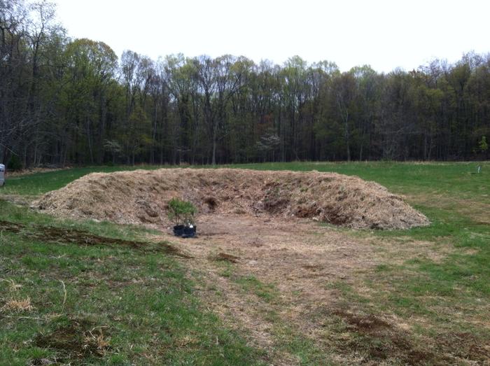 finished_and_seeded_hugelkultur_bed