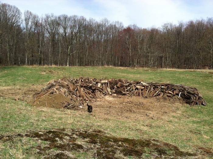Here_we_are_done_with_wood_and_adding_soil