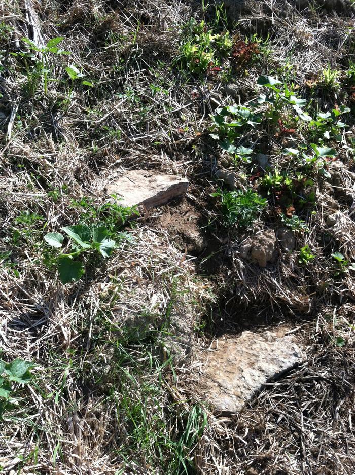 steps_in_the_hugel_bed_to_help_access_the_food_and_weeds