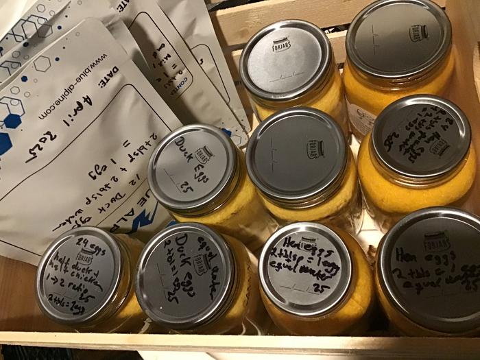 340 eggs in my egg stash. I have 60 more ready for the freeze dryer