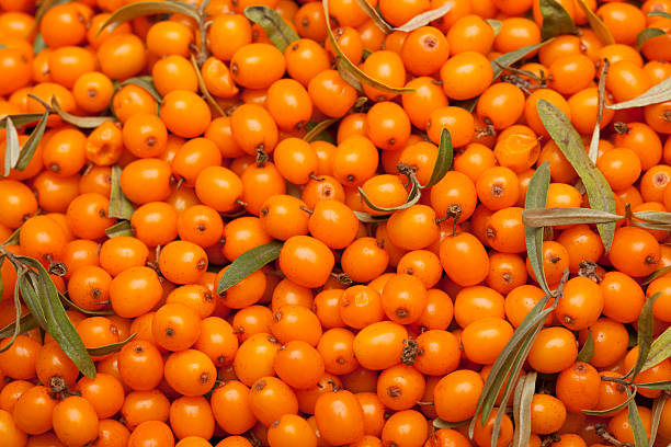 [Thumbnail for istockphoto-483856775-612x612.jpg]