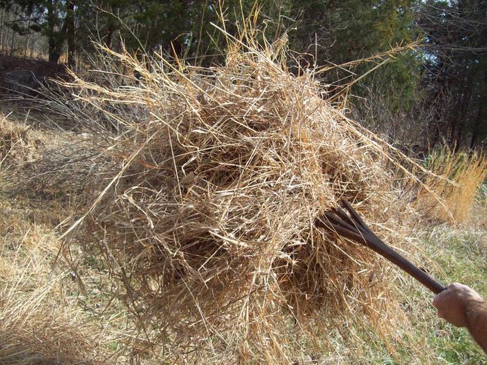 using the pitchfork
