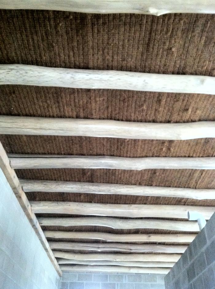 [Thumbnail for finished-joists.jpg]