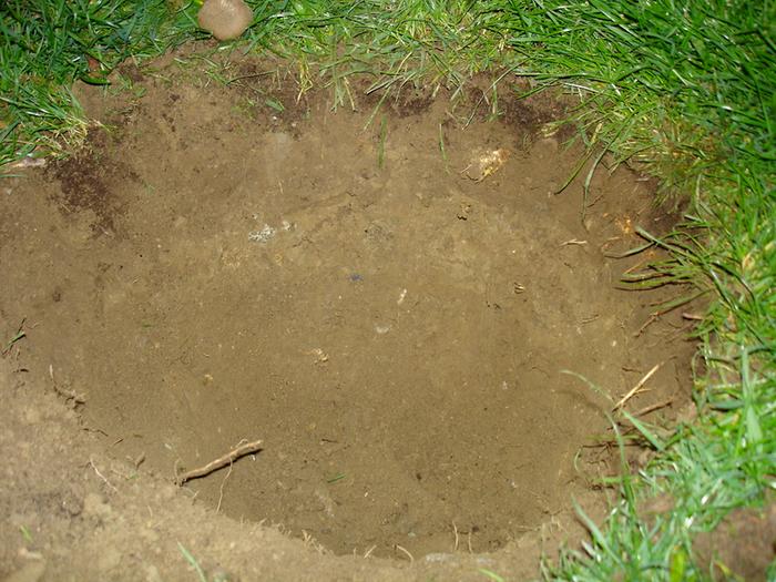 digging hole in the lawn