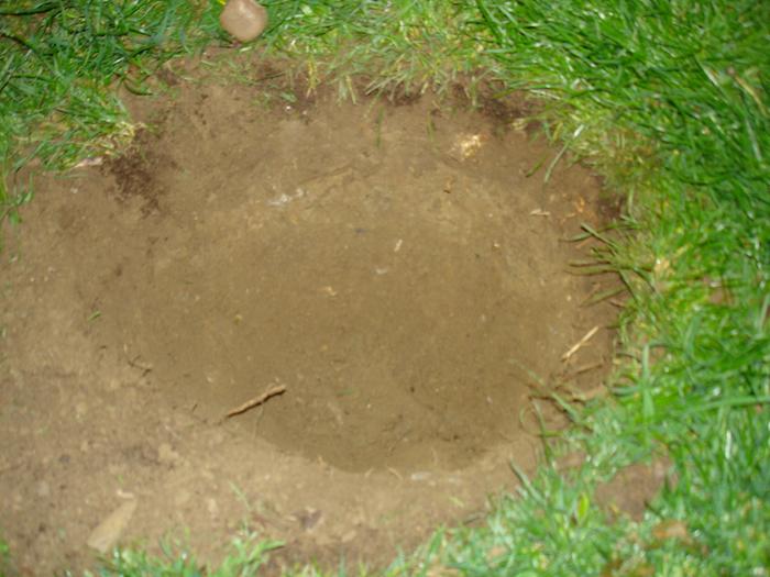 another view of the a worm pit