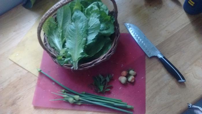 food from the garden
