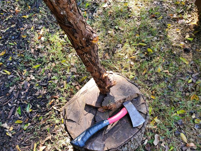 Hatchet 1