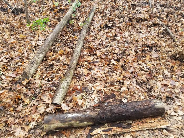 wood I'm starting with 