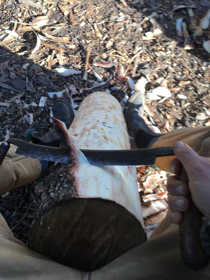 peeling bark